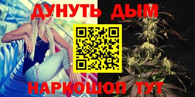 дмт Тула